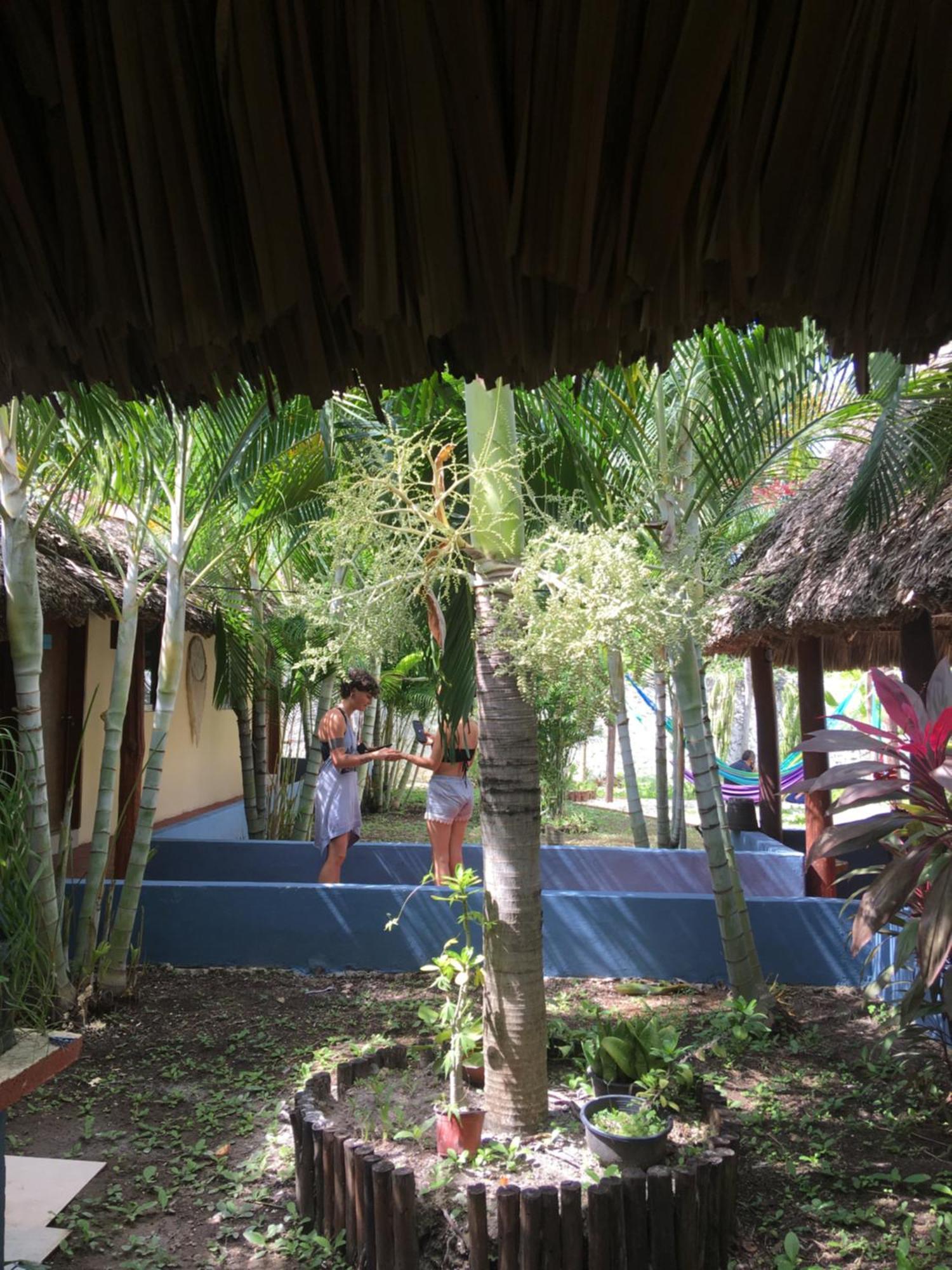 Casa Bokoba Bacalar Hotel Exterior foto